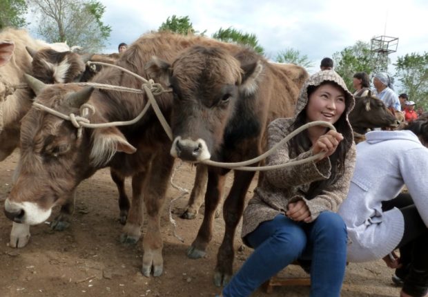 kirghizistan mercato animali kochkor