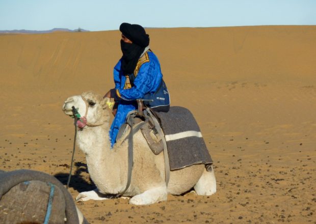 merzouga cammello deserto sahara