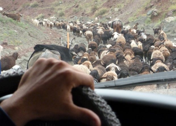 pamir highway tagikistan gregge
