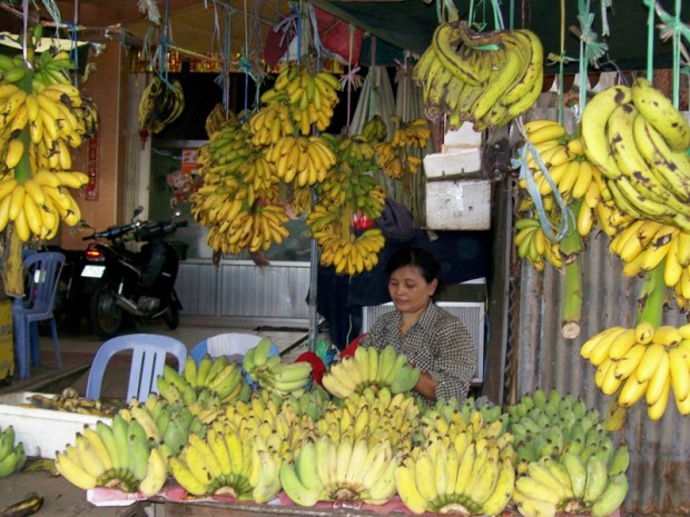 Cambogia banane