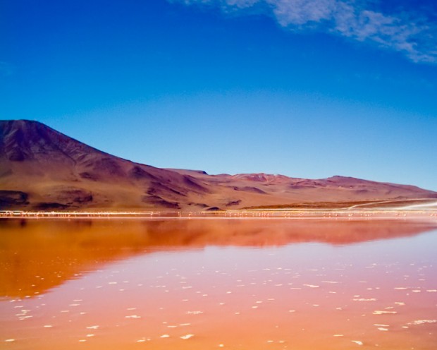 Bolivia laguna colorada