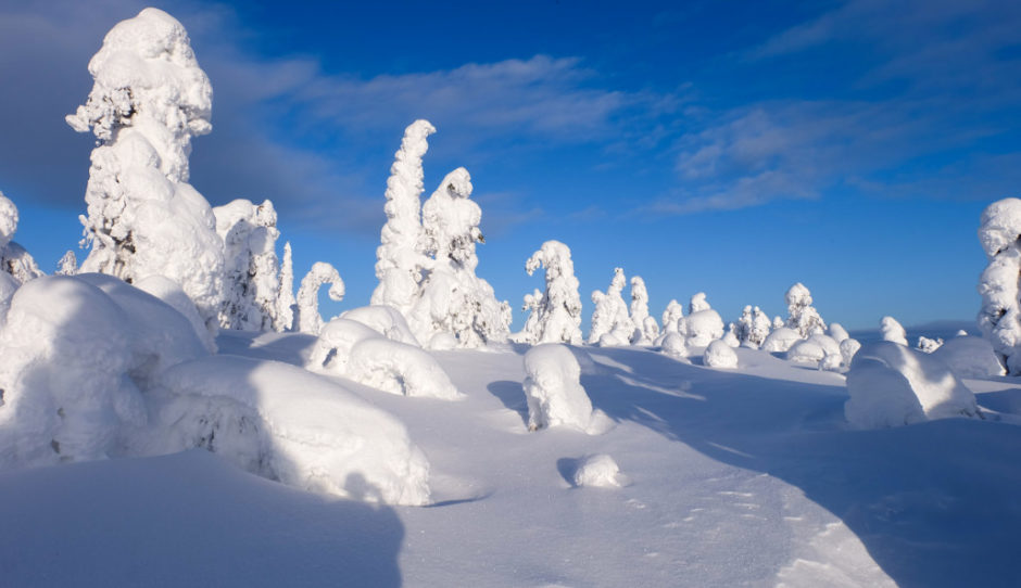 Finlandia lapponia inverno - libri di viaggio Finlandia