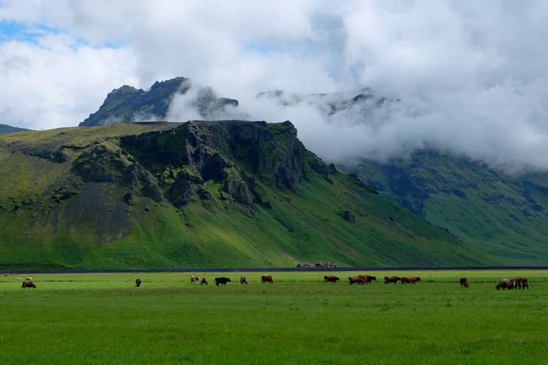 Islanda verde