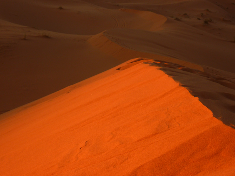 Marocco Sahara Duna