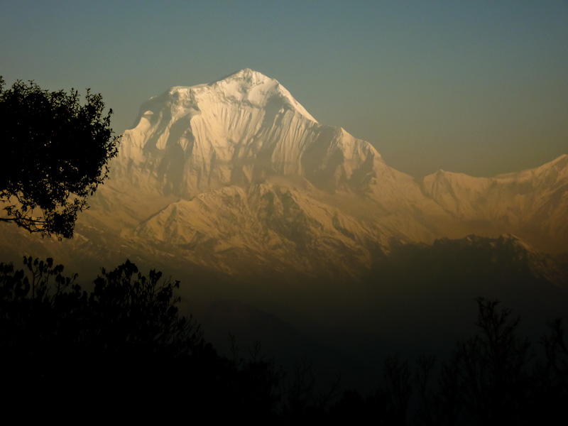 Poon hill trekking nepal