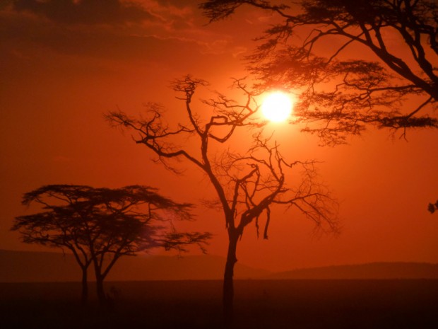 Savana tramonto tanzania