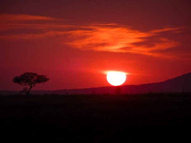 Savana tramonto serengeti