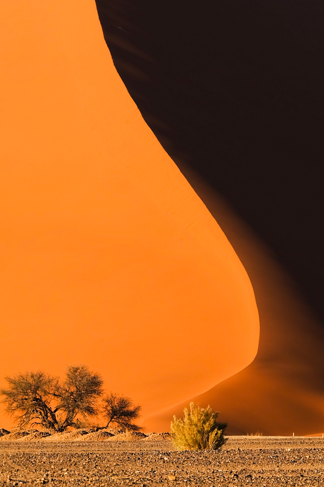 Viaggio in Namibia alba deserto