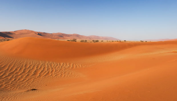 Viaggio in Namibia deserto panorama