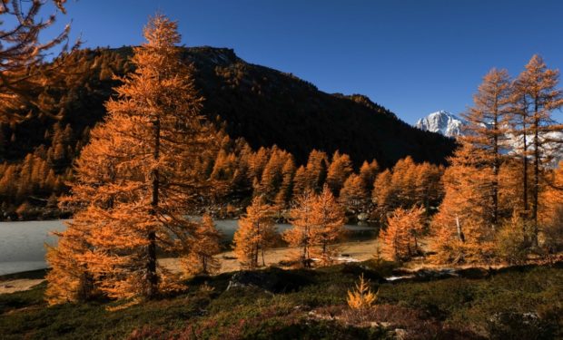 autunno lago arpy valle aosta