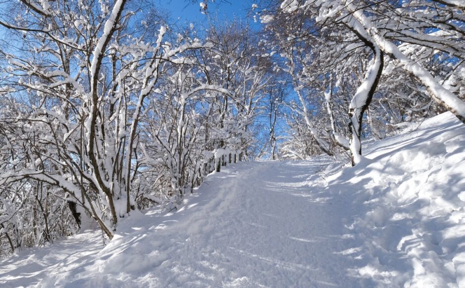 gita ciaspole monte bollettone con racchette da neve