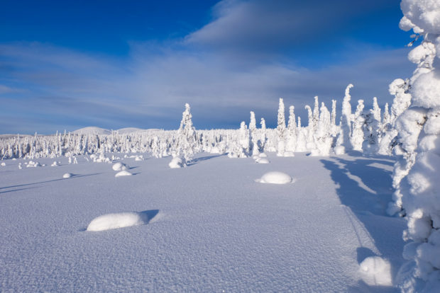 inverno lapponia pallas yllastunturi tykky panorama