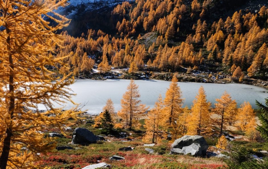 lago arpy valle aosta autunno