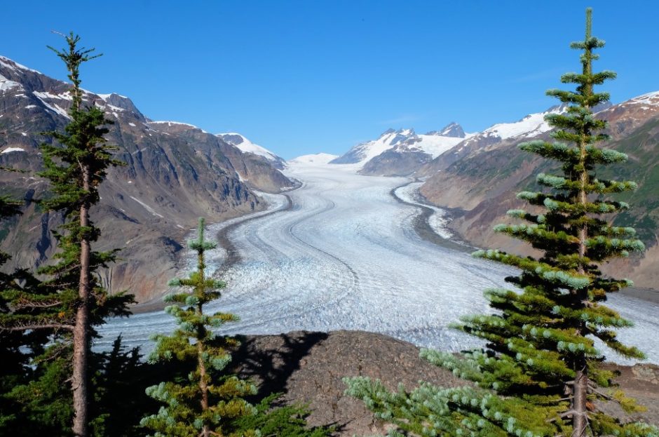 salmon glacier canada escursione da Steward viewpoint