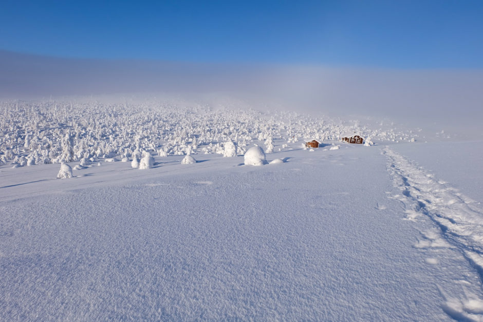 trekking in inverno lapponia - libri di viaggio