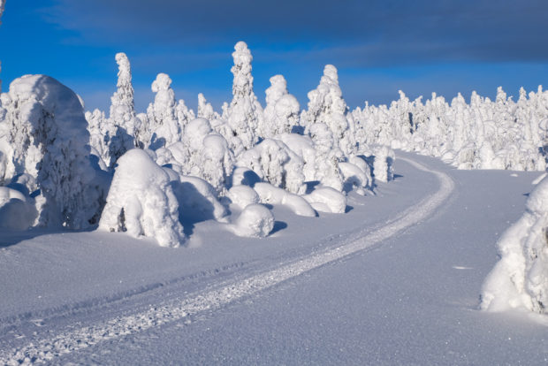 tykky lapponia pallas yllastunturi inverno finlandia