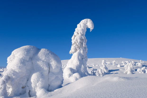 tykky viaggio inverno lapponia pallas yllastunturi