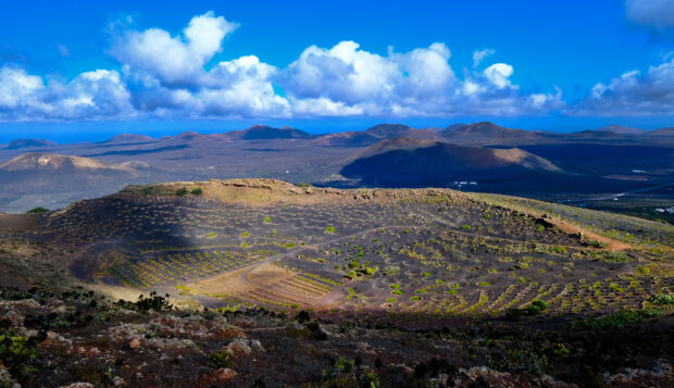 panorama dal vulcano sulle coltivazioni di viti