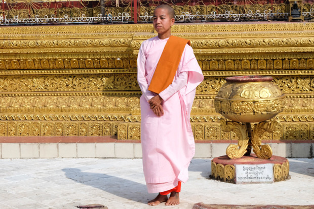 viaggio in Birmania, monaca