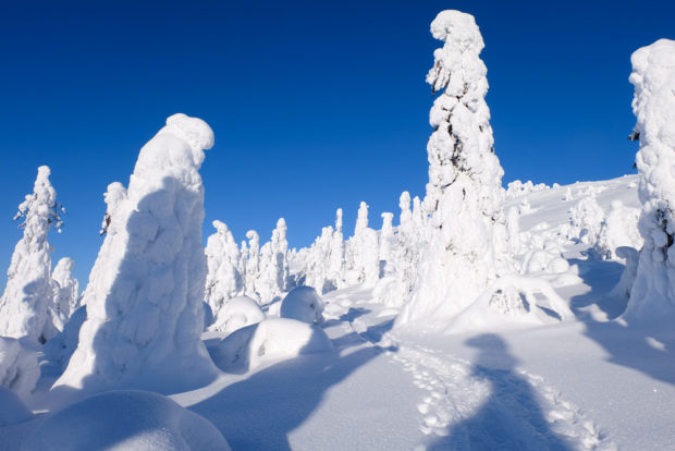 viaggio inverno lapponia ghiaccio finlandia