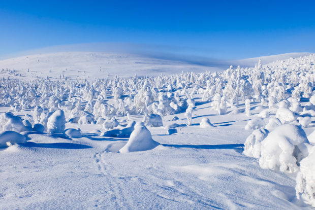 viaggio inverno lapponia pallas yllastunturi collina galaverna