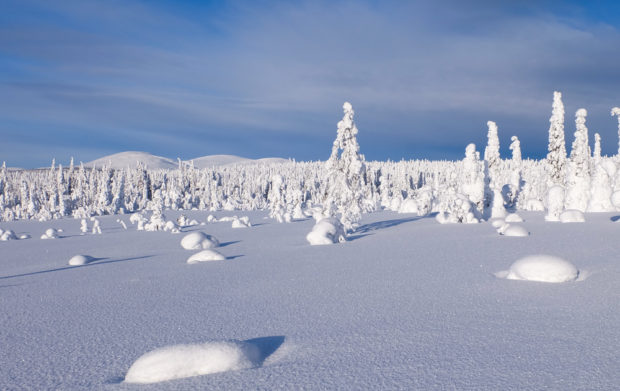 viaggio inverno lapponia pallas yllastunturi tykky panorama