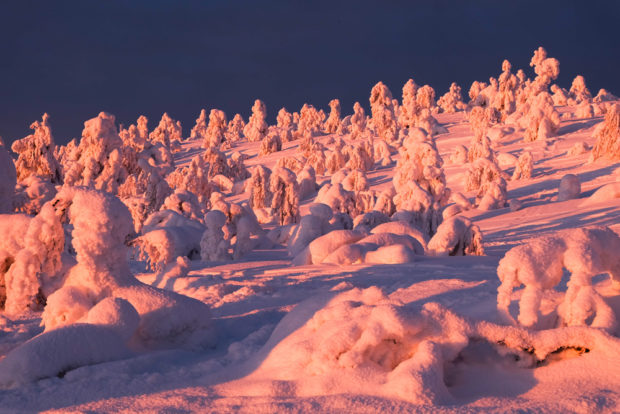 viaggio inverno lapponia pallas yllastunturi tykky tramonto