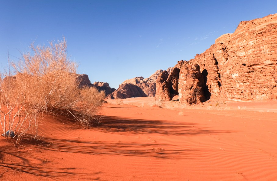 wadi rum deserto trek